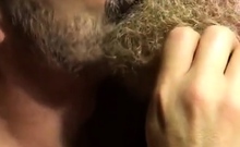 Hairy bears passionate kissing