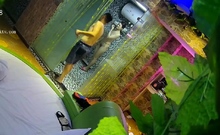 Hot amateur hidden cam