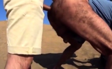 Bareback Outdoor Adventure With A Stranger On A Dune