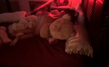 Amateur Doggystyle Hidden Cam